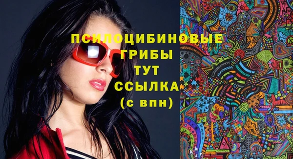 спиды Арсеньев