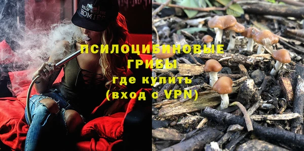 спиды Арсеньев